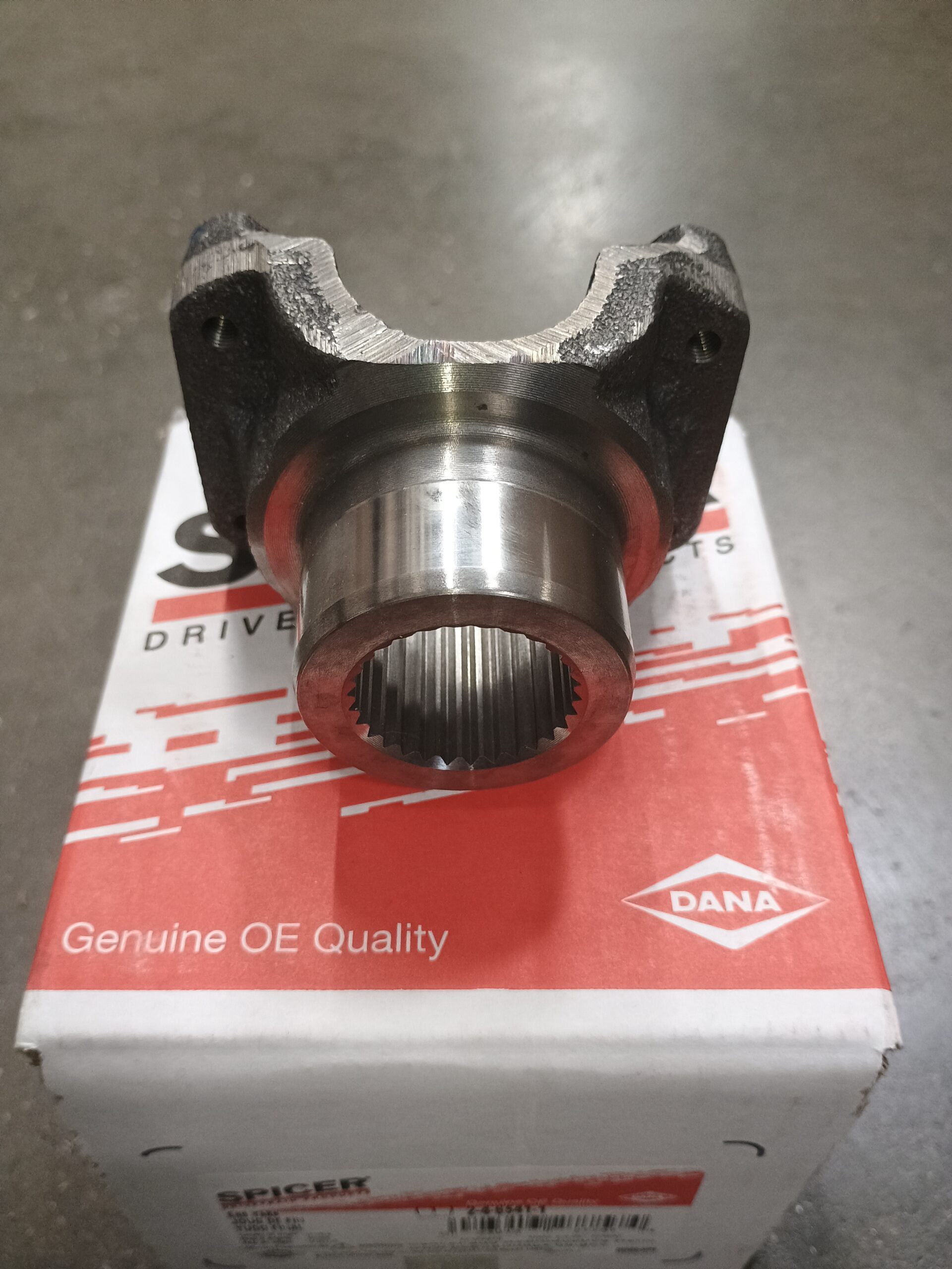 P. willinckii ’Jenny’ TC 1615 1999-2004 Jeep Grand Cherokee WJ Super 44 Rear Differential