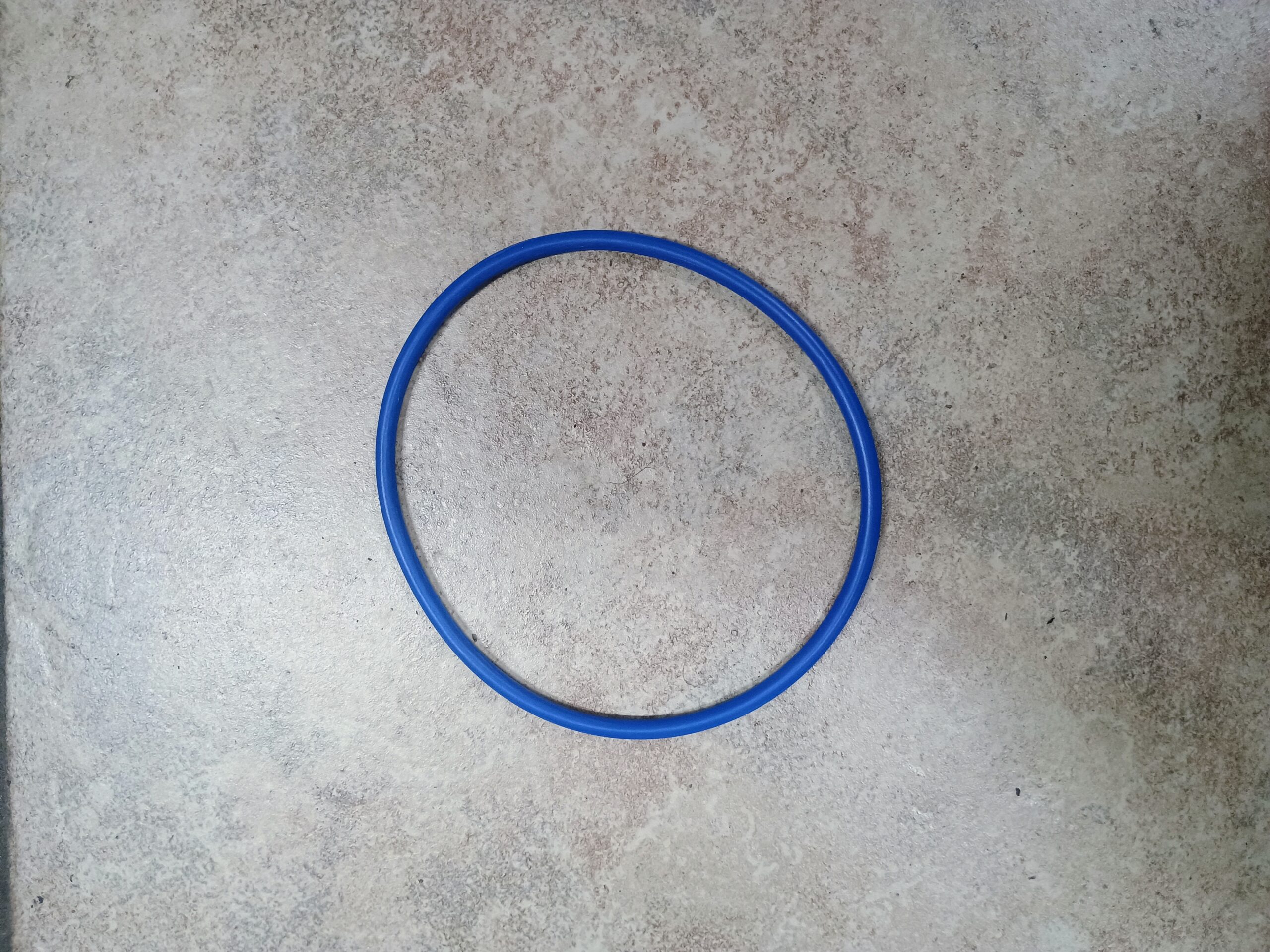 2019-2024 Dodge Ram 4500 5500 Rear Axle Shaft O-Ring 12.0 3rd Member Style